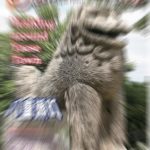 ビジネスの節目 E.KEMURA『5年目』の決断!