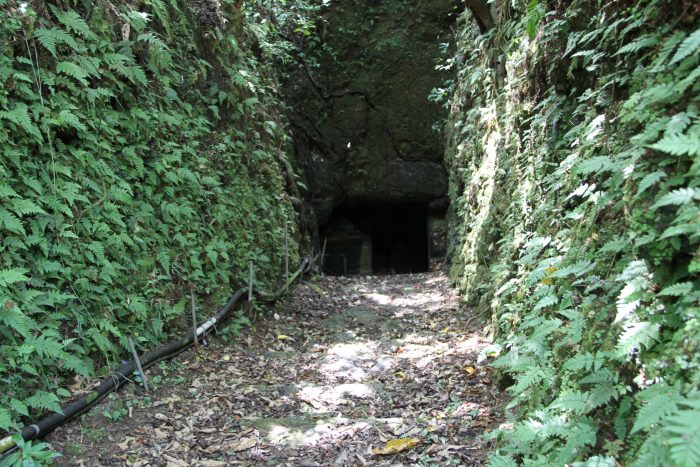 結構段差ある地下っぽい洞窟